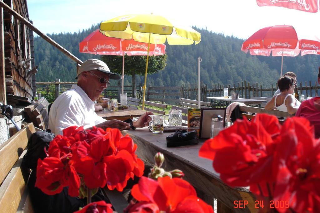 Pension Waldesruh/Halseralm Schladming Zewnętrze zdjęcie