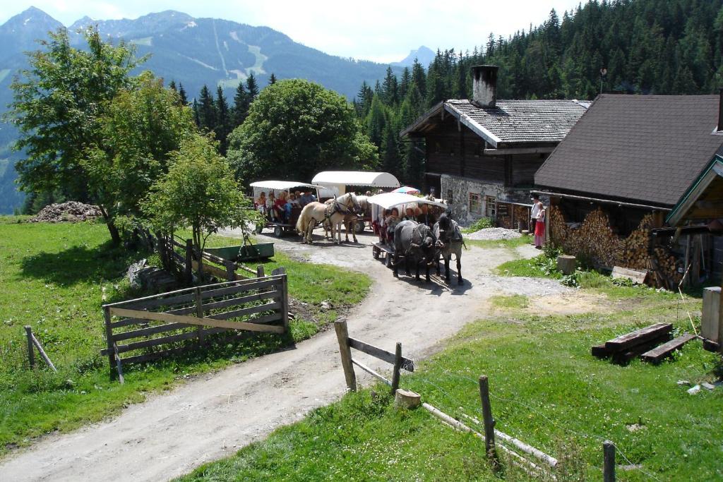 Pension Waldesruh/Halseralm Schladming Zewnętrze zdjęcie