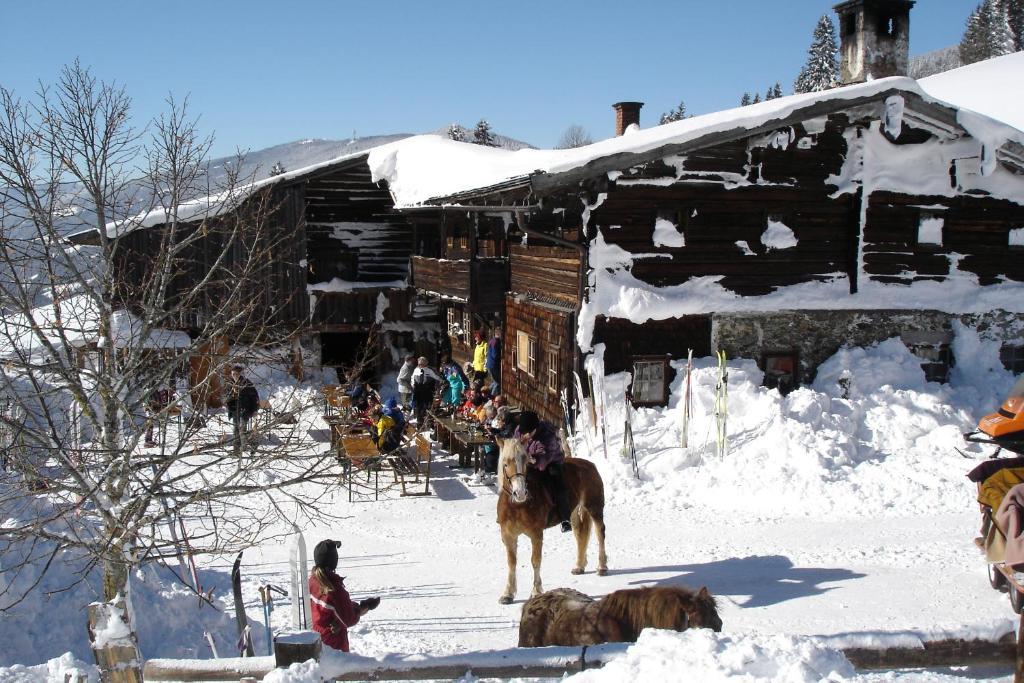 Pension Waldesruh/Halseralm Schladming Zewnętrze zdjęcie